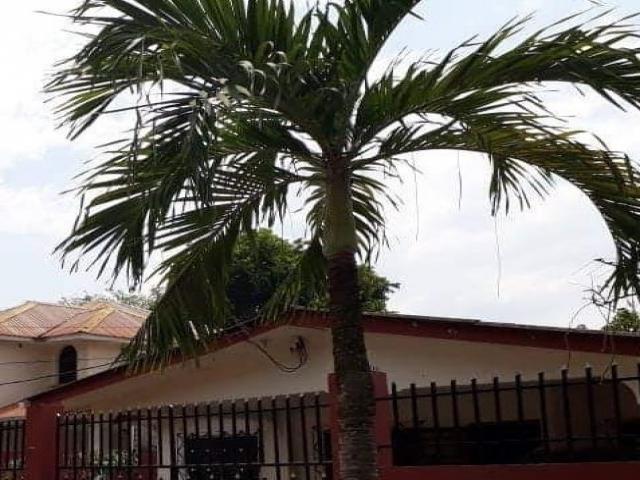 #VTA059 - Casa para Venta en San Pedro Sula - Cortés - 3