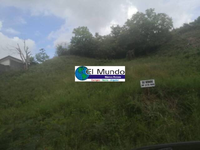 Terreno Residencial para Venta en La Ceiba - 5