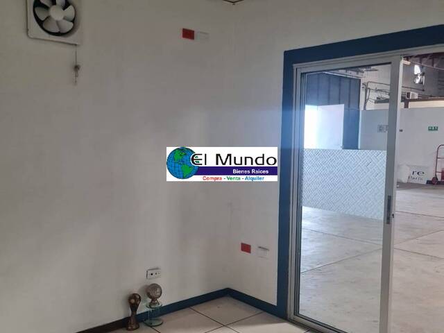 Bodega para Alquiler en San Pedro Sula - 4