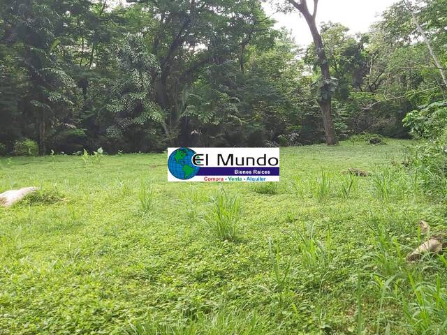 #243 - Terreno Residencial para Venta en San Pedro Sula - Cortés - 3