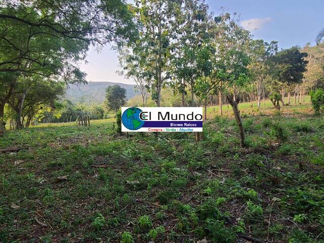 Terrenos Comercial para Venta en San Pedro Sula - 4