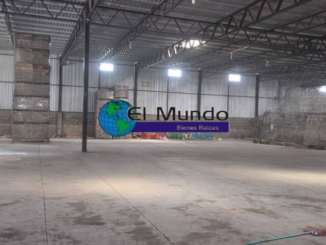 #445 - Bodega para Alquiler en Comayagua - Comayagua - 3