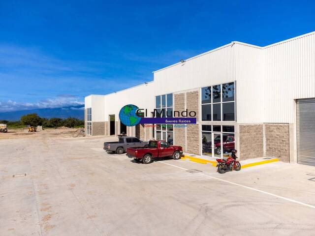 #447 - Bodega para Alquiler en Comayagua - Comayagua - 1