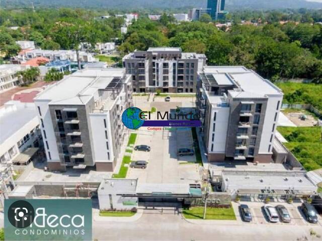 Alquiler en SECTOR MACKAY - San Pedro Sula