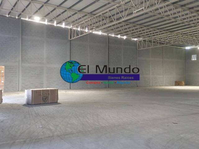 Bodega para Alquiler en San Pedro Sula - 4