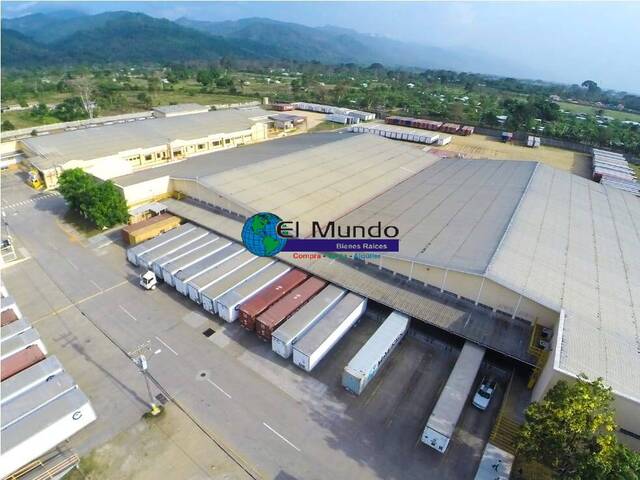 #468 - Bodega para Alquiler en El Progreso - Yoro - 2