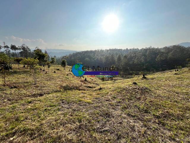#473 - Terreno Residencial para Venta en Siguatepeque - Comayagua - 3