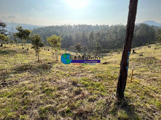 Terreno Residencial para Venta en Siguatepeque - 4