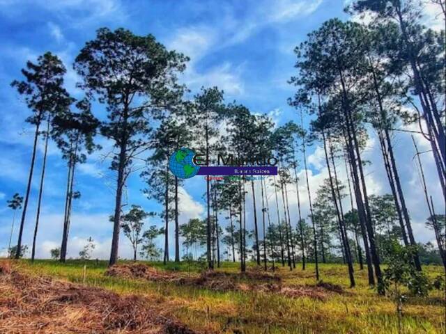 Terreno Residencial para Venta en Siguatepeque - 5