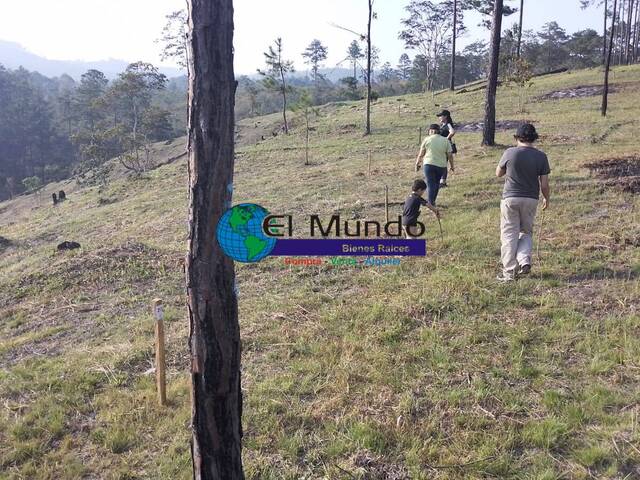 #473 - Terreno Residencial para Venta en Siguatepeque - Comayagua - 2