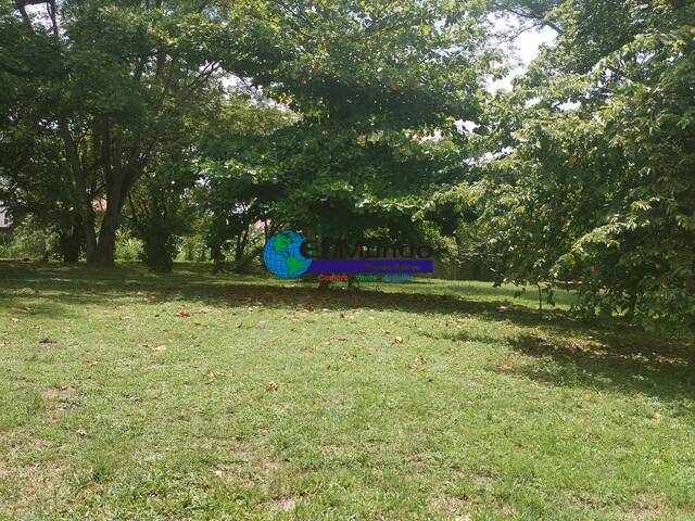 #480 - Terreno Residencial para Venta en San Pedro Sula - Cortés - 3