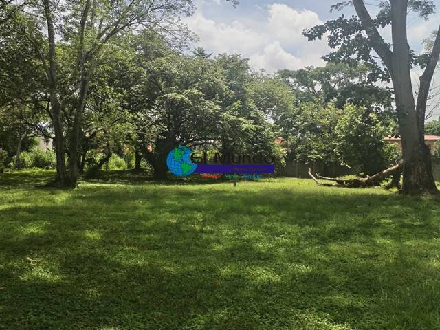 #480 - Terreno Residencial para Venta en San Pedro Sula - Cortés - 2