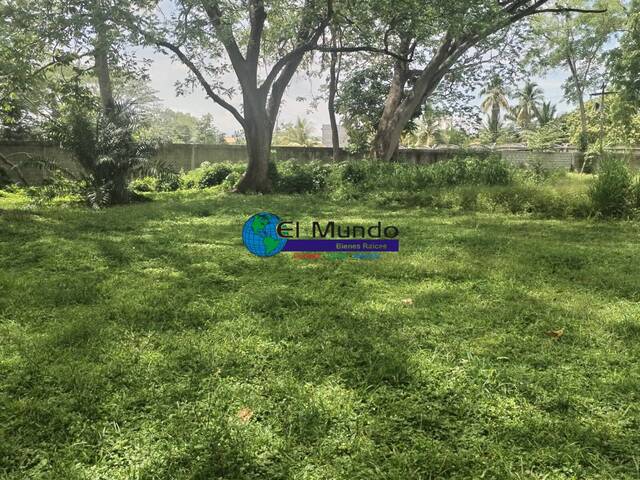 #480 - Terreno Residencial para Venta en San Pedro Sula - Cortés - 1