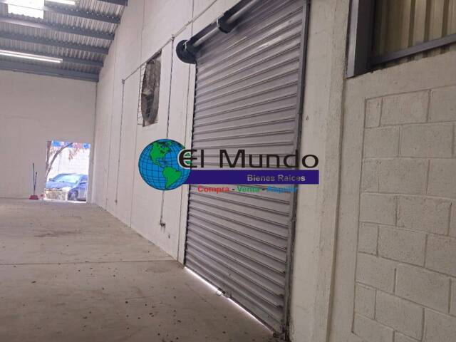 Bodega para Alquiler en San Pedro Sula - 4